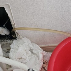 통진읍,고촌읍,양촌읍,…